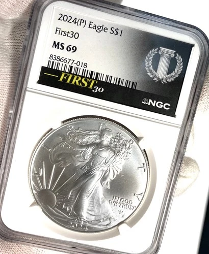 Star Privy.  2024 (P) $1 American Silver Eagle Star Privy NGC MS69. NGC First30