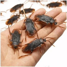 Prank Cockroaches Realistic Cock Roach Rubber Fake Creepy Bugs Gag Toy Joke