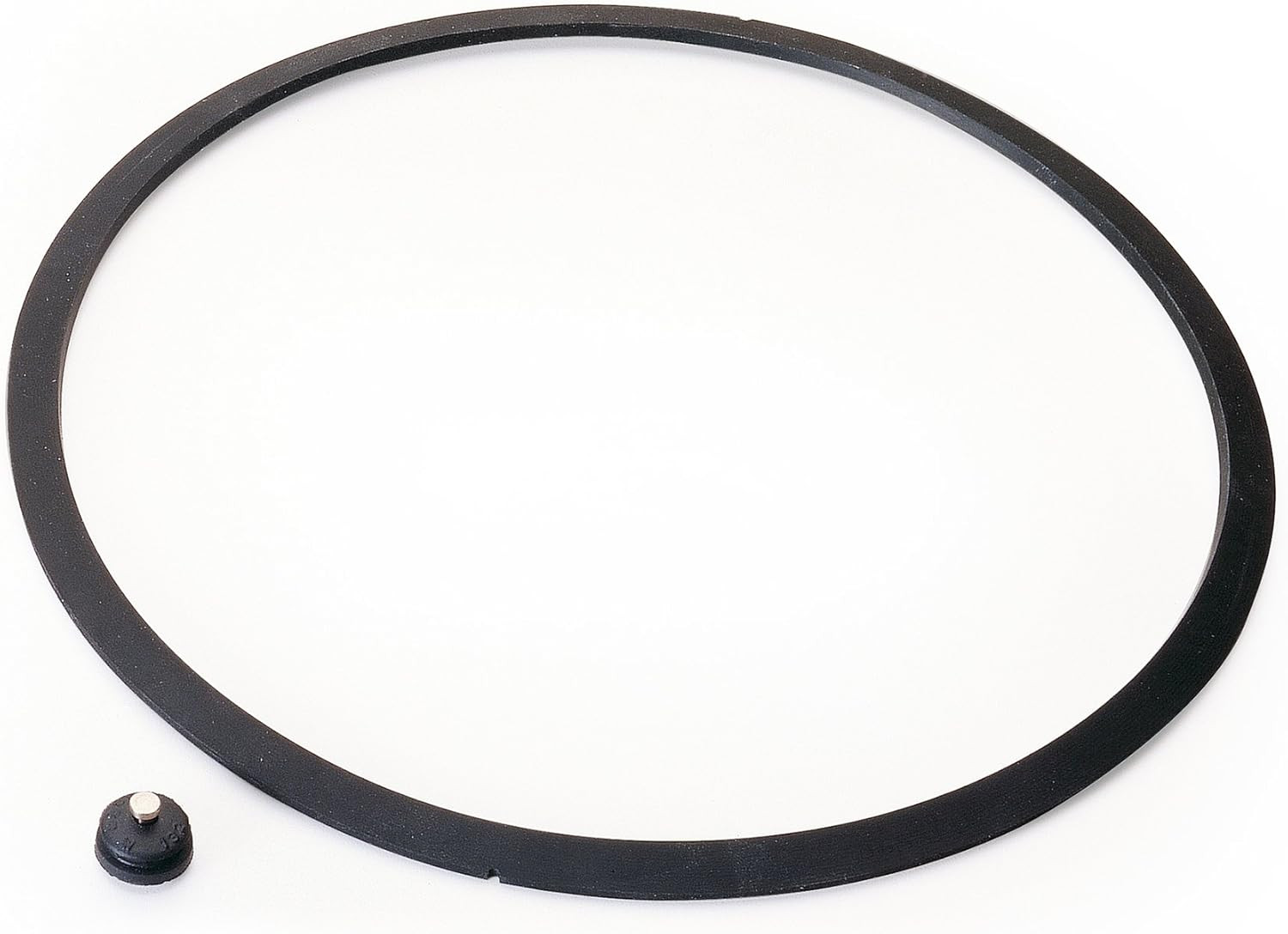 Sealing Ring And Automatic Air Vent