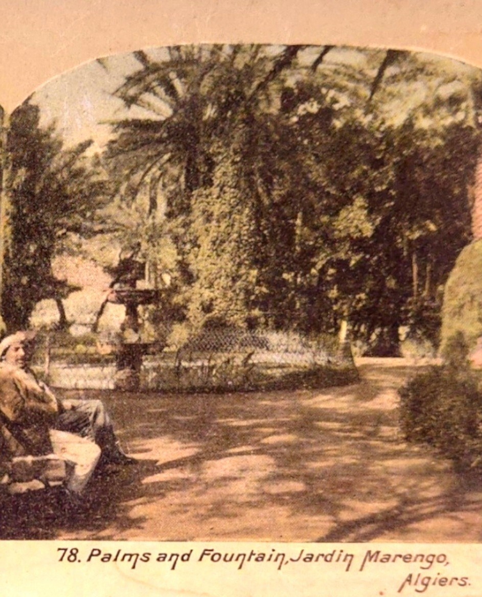 Foto 6 di 21