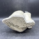 Vintage Concrete Cocker Spaniel Dog Garden Statue 10" Outdoor Pet Lover — photo 10