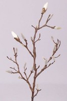 Artplants Deko Zweig Magnolien Zweig Asani, Weiß, 70Cm