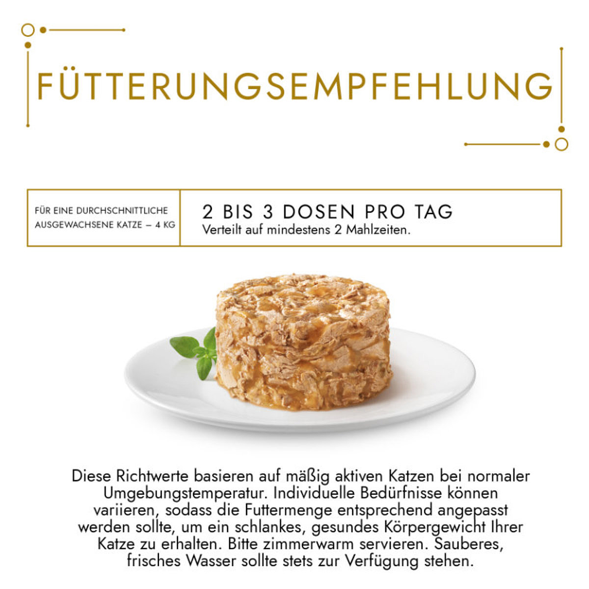 Bild 7 von 7