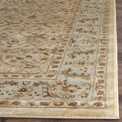 SAFAVIEH Florenteen FLR126-2512 Brown / Ivory Rug