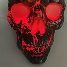 Bild 7 von 8