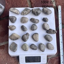 22 Unpolished Petoskey Stones. 1 Lb.