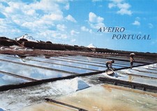 PORTUGAL AVEIRO SALINES