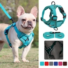Pet Reflective Nylon Dog Harness Adjustable Dogs Pets Vest Lead Walking Running