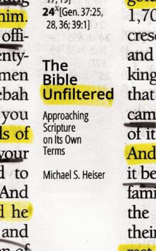 Michael S. Heiser The Bible Unfiltered (Tascabile)