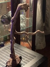 Manzanita Bird Perch Large Driftwood Aquarium Reptilian aquascape taxidermy