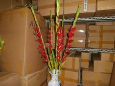 Lot of 5 Sticks Plastic Artificial red gladiolus Flower HOA HUE 