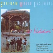 No Kiddin von Surinam Music Ensemble von not specified | CD | Zustand sehr gut