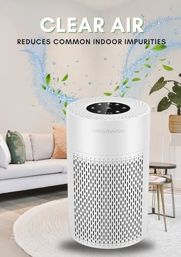 Air Purifier for Home, Bedroom & Office, H13 True HEPA Filter, Smart Air