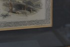 Foto 10 di 19