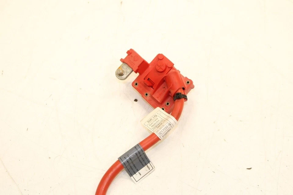 Cable de batería positivo BMW 750Li xDrive 2010-2015 9217033 OEM Foto 2 de 4