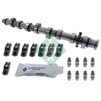 Schaeffler INA Nockenwellensatz Passend FüR Audi A3 A4 Seat Altea Exeo Leon