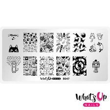 Whats Up Nails B047 Everyday is Caturday Stamping Plate For Stamped Nail Art