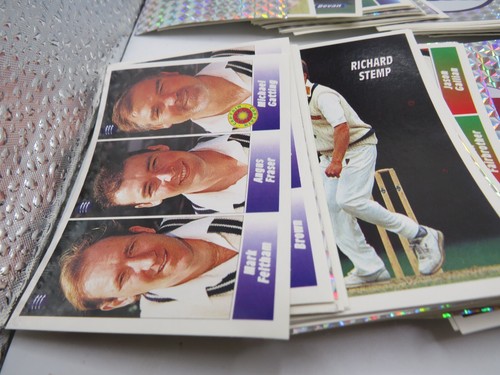 Panini CRICKET 95 (1995) Full Complete Loose Set of 168 Stickers - Picture 4 of 5