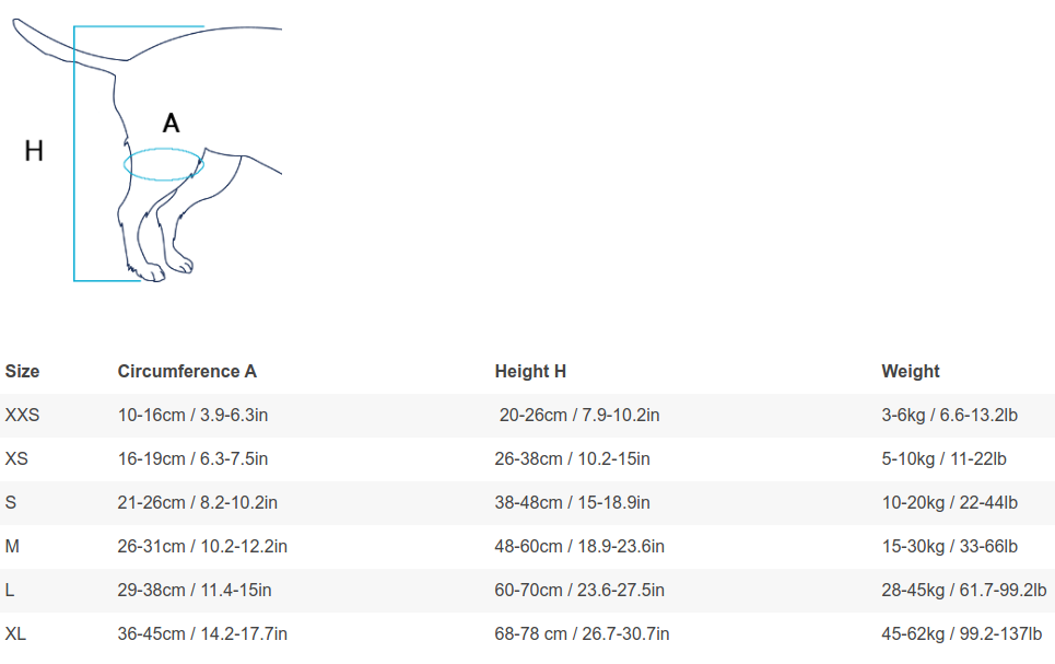 balto dog knee brace