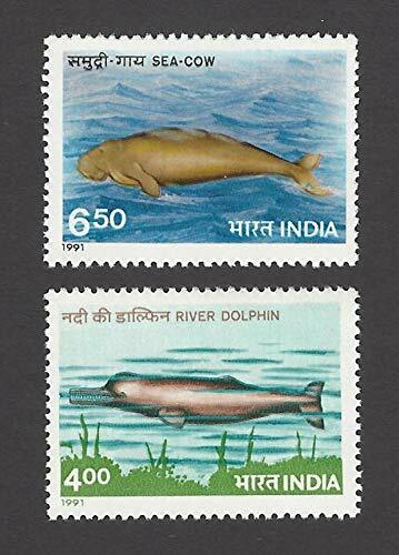 India 1991 Marine Mammals River Dolphin Sea Cow Fauna Animals 2v Stamps |  eBay