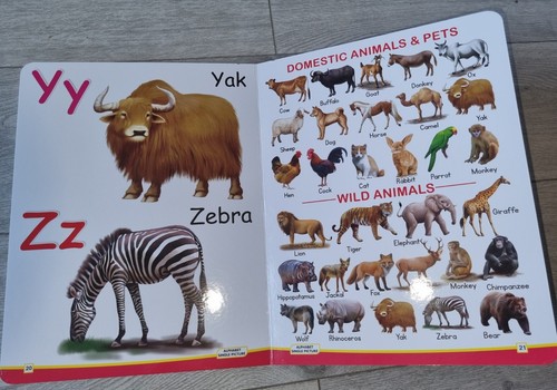 English Alphabets Board Book - Picture 8 of 8
