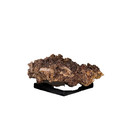 mx#691 Descloizite w. Endlichite Los Lamentos Mountains Mun de Ahumada MX 186g — photo 9