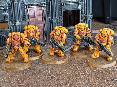 Heavy Intercessor Squad (5 Modelle)   Imperial Fists   komplett bemalt [001]