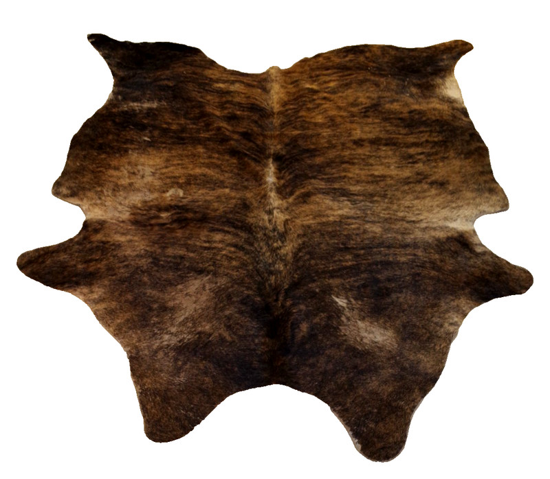 B7 Vintage Real Bear Fur Skin Hearth Rug Shaded Brown Animal