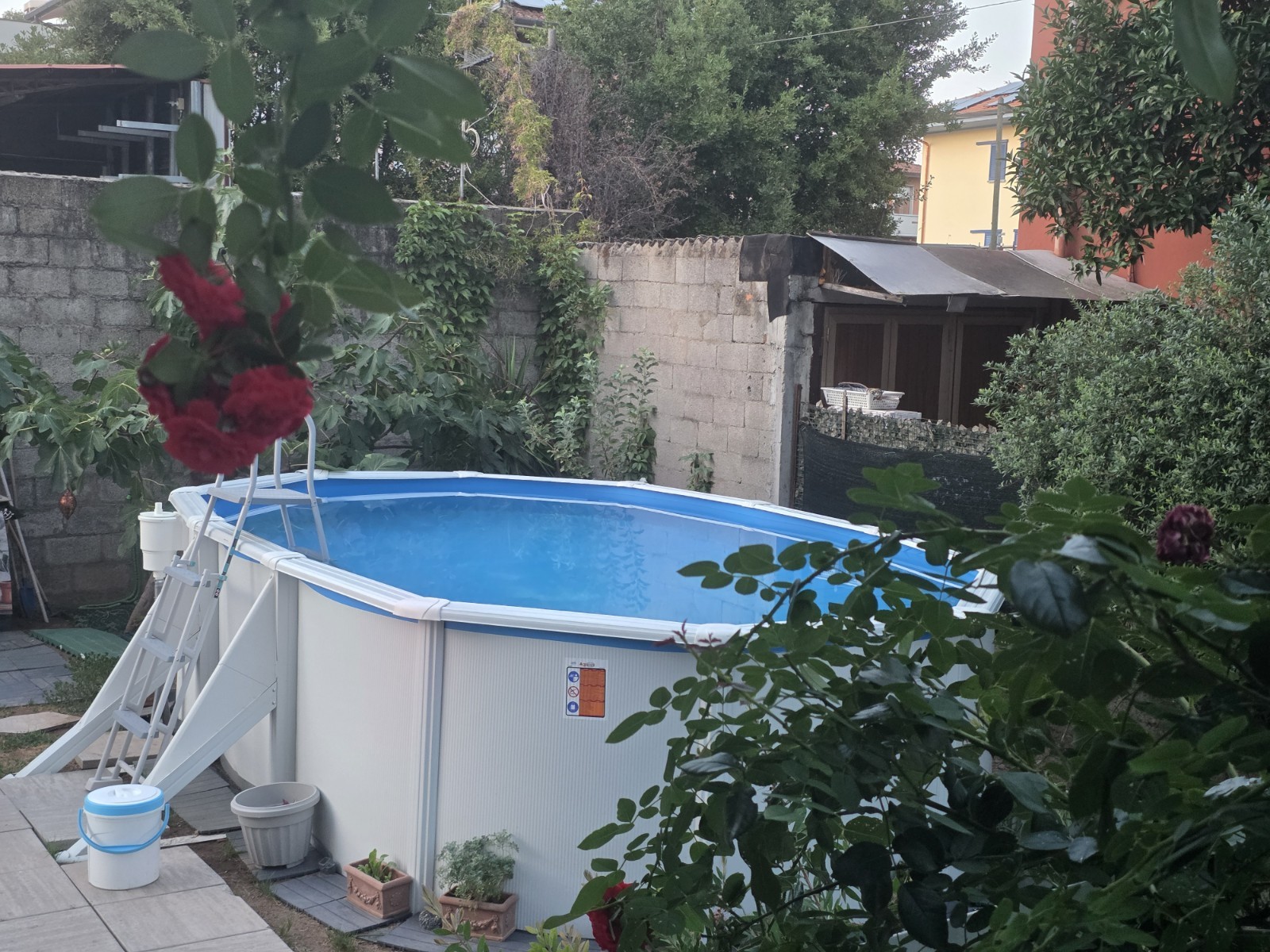 Gre Fidji Piscina fuori terra ovale 500x300x120 acciaio Ritiro SOLO NON SPEDISC