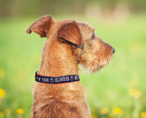 Pets First NHL Collars Heavy-Duty Durable & Adjustable Dog Collar & Cat Collar - Picture 58 of 125