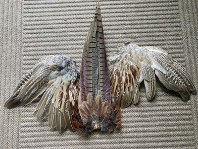 Rooster Ringneck Pheasant Whole Wing Feather Set&Tail feathers Fly Tying Fishing