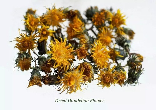 1/2 oz Organic Wild Dried Minnesota Dandelion Flowers,(Taraxacum)