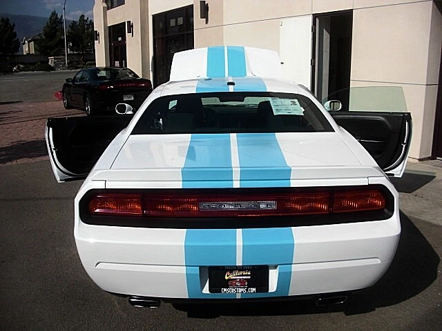 FOR 2008 to 2014 Dodge Challenger Racing 10" Graphic Vinyl Decal Stripes 36 FEET Foto 4 de 4