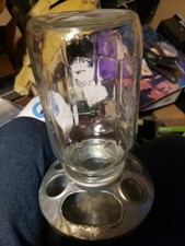 Little Giant Baby Chick Mason Jar Quart Chicken Feeder