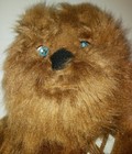 Bild 3 von 5