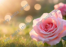 Digital Image Picture Wallpaper Background Zoom/Google Meet Desktop Art Download