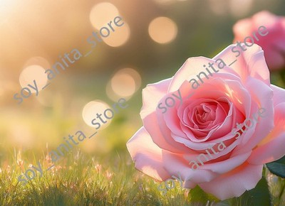 Digital Image Picture Wallpaper Background Zoom/Google Meet Desktop Art Download