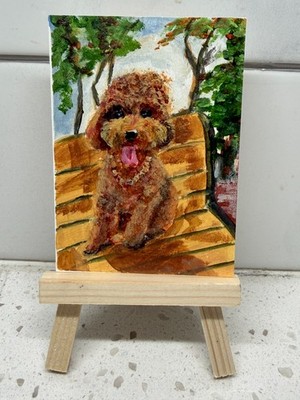 Aceo The Golden Bench  Golden Doodle Impressionistic Style Sunny Day