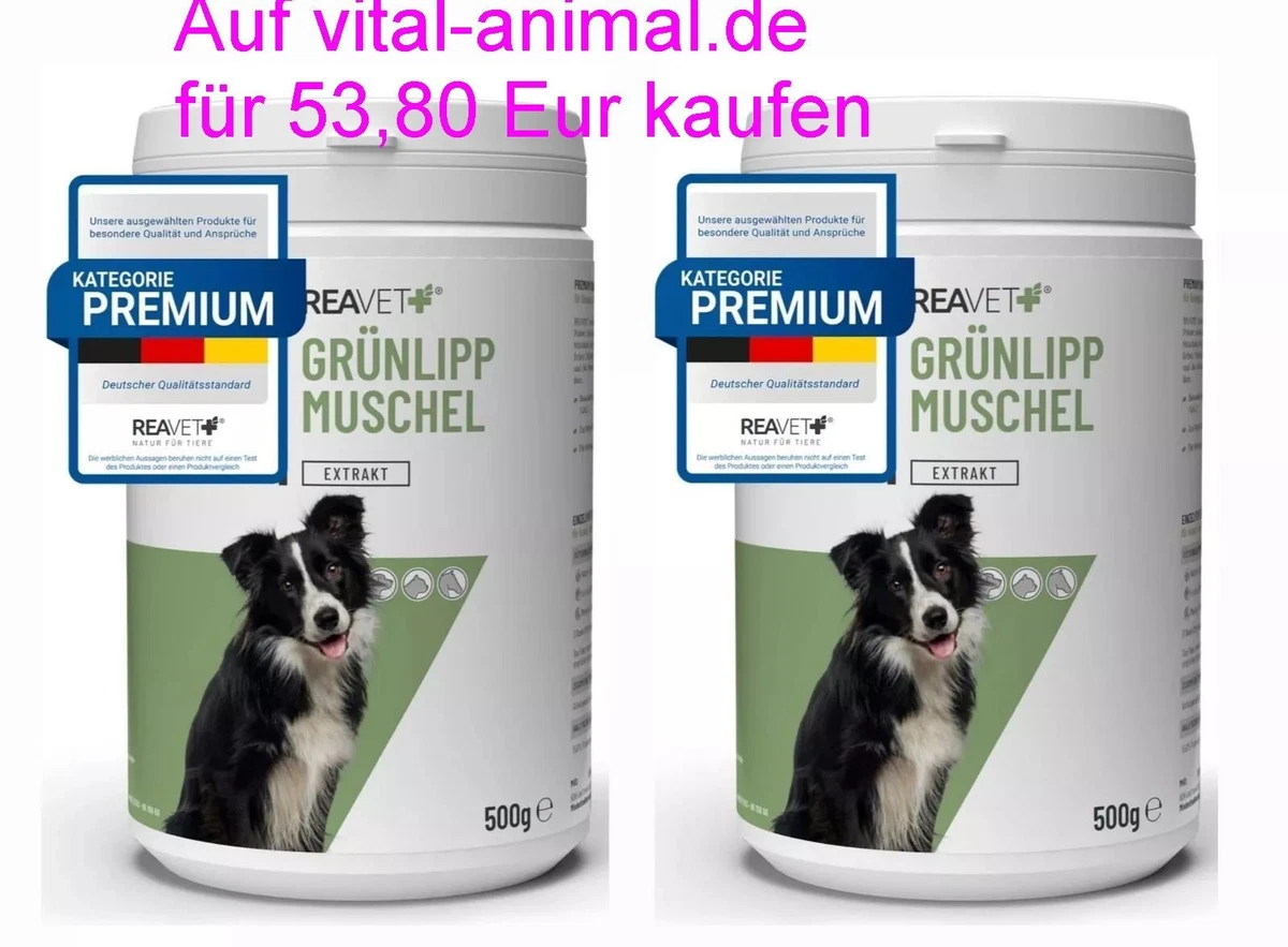 rütter hundebett Hundebett KUDDE veganes Kuschelfell: Orthopädisch & kuschelig main image 1