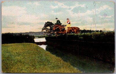 Steeple Chase Horse Race Postcard B611