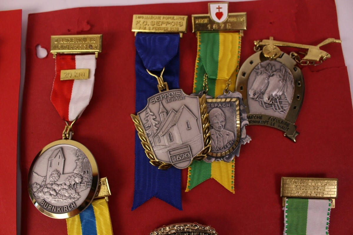 MEDAILLE ORDEN PFULLENDORF 1973 Volkswanderung Volkswandertag Herbstmarsch 185750803787