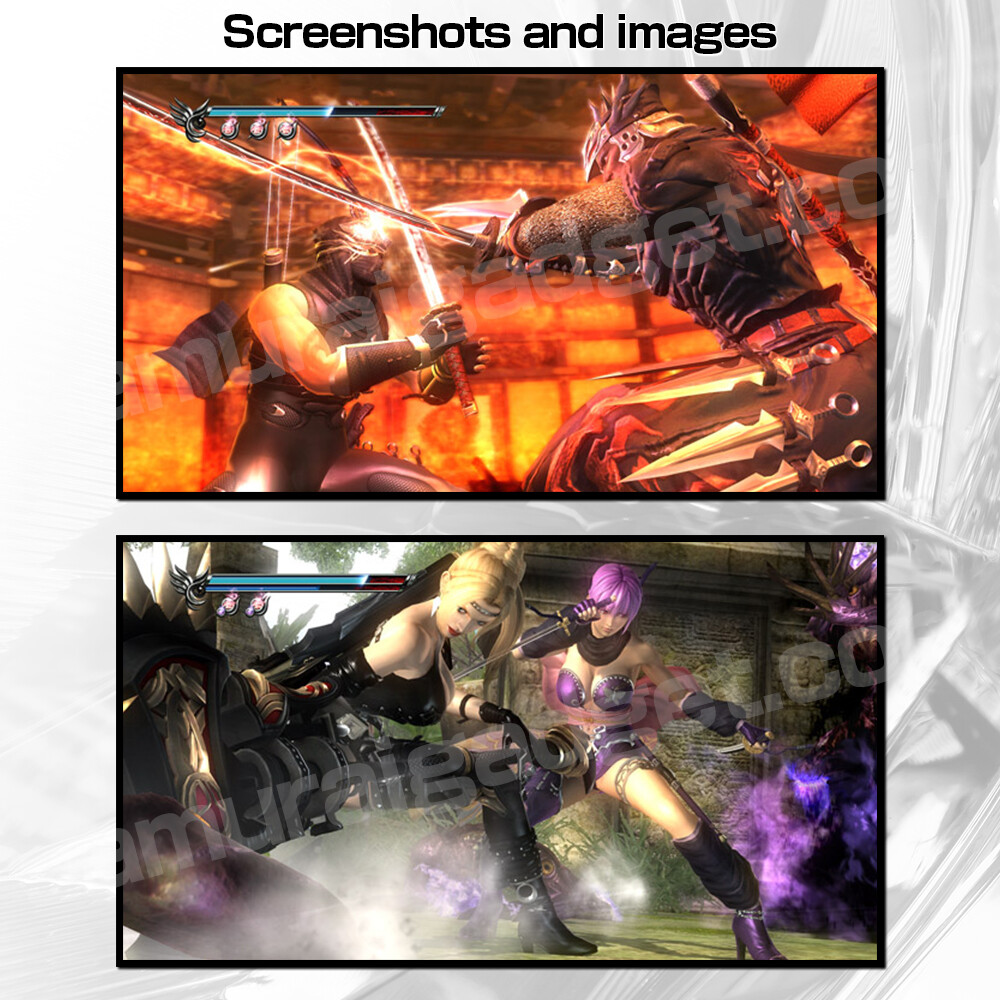 NINJA GAIDEN Σ2 非売品 クリアファイル 4枚 NINJA GAIDEN Σ2 非売品 クリアファイル 4枚