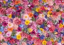 7x5ft Multicolored Fabric Flower Floral Wall Photography Backdrop Birthday Props