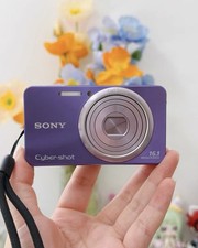 Sony Cyber-shot DSC-W570 CCD Digital Camera 16.1MP 5x Optical Zoom English