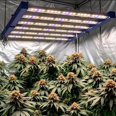 FD4000 Spider LED Commercial Grow Light Full Spectrum for Indoor Hydroponics CO2