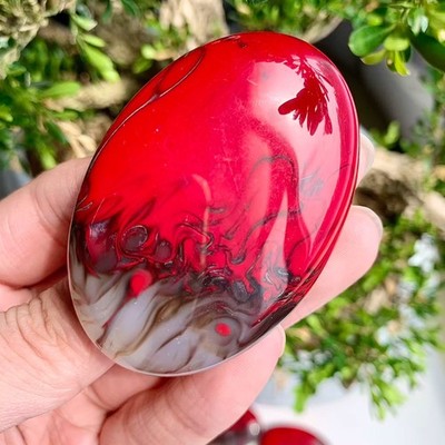 Red Flame Agate Palm Stone Polished Healing Crystal Home Decor Gift