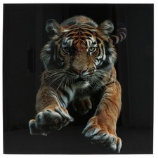 Shudehill Giftware Leaping Tiger Canvas Wall Art Big Cat Wildlife Panel