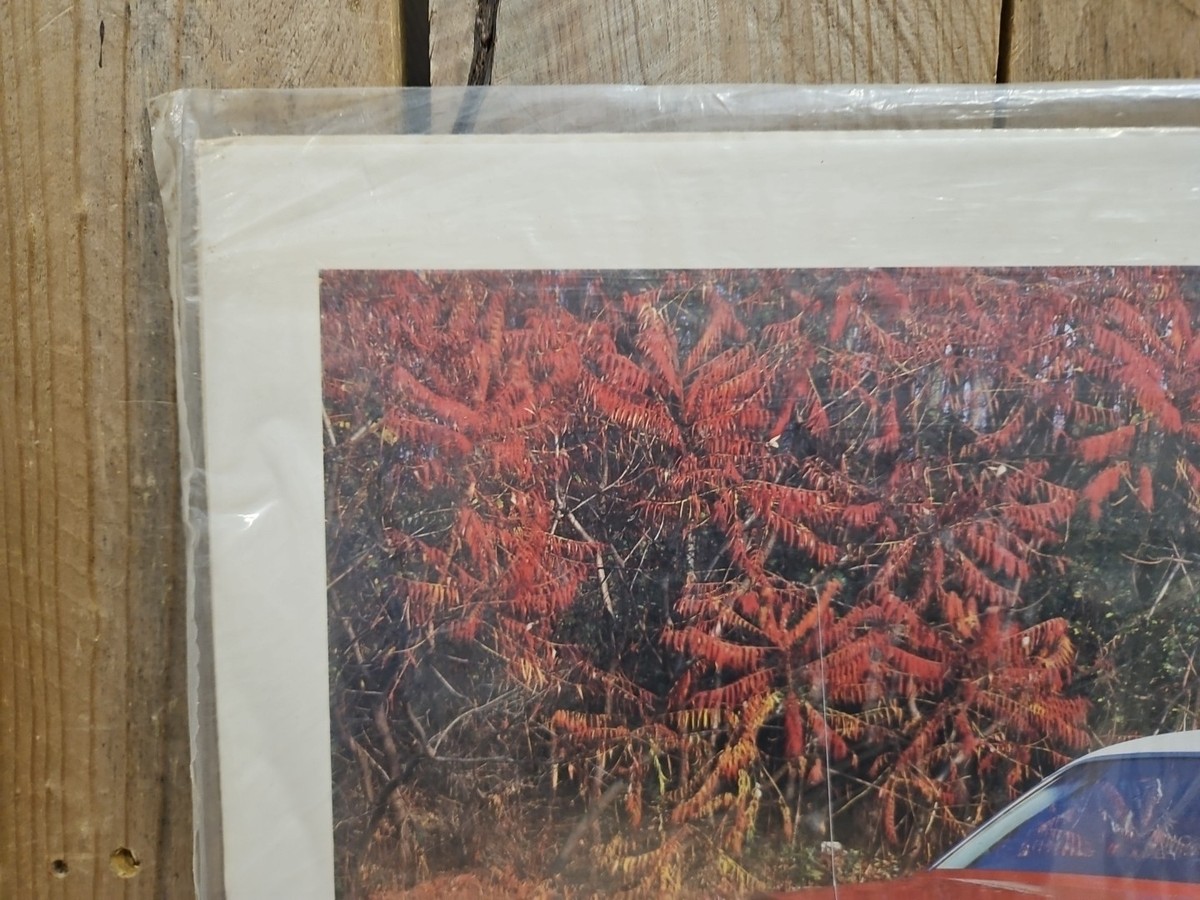 1972 Dodge Challenger Poster Print VTG Power Graphics NOS 20”x16