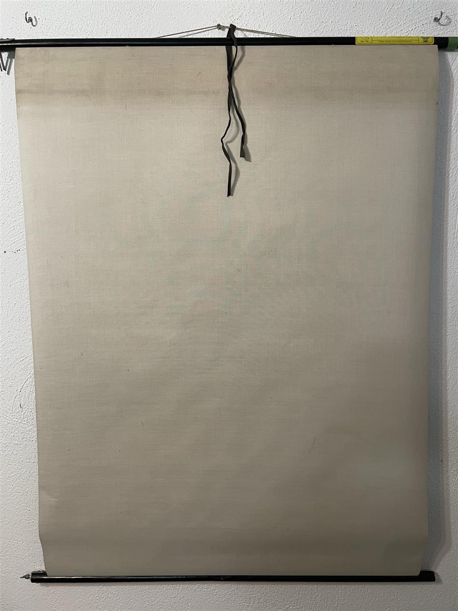 Foto 10 di 10