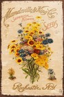 Vintage Flower Seed Catalogue, Floral Gardening Advert, Aged Look New Metal Sign